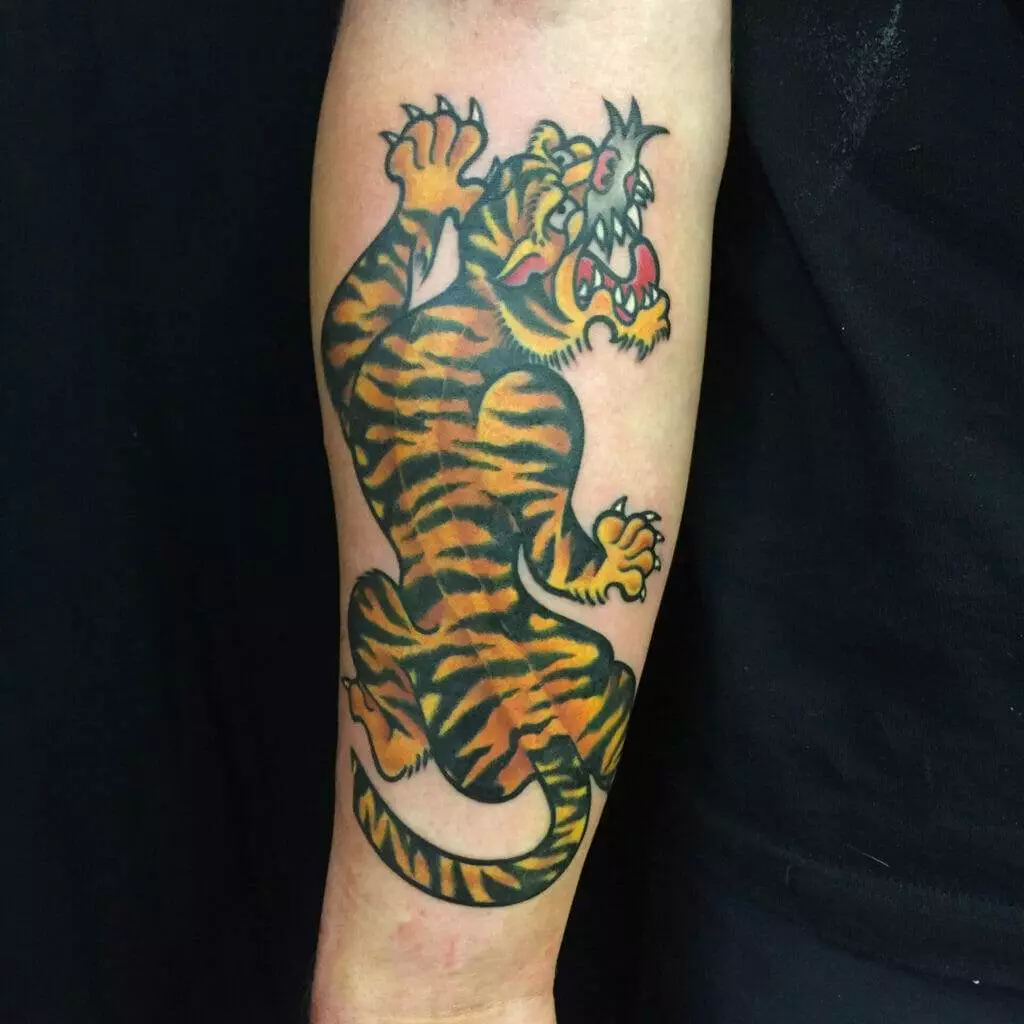 Forearm, Tiger.