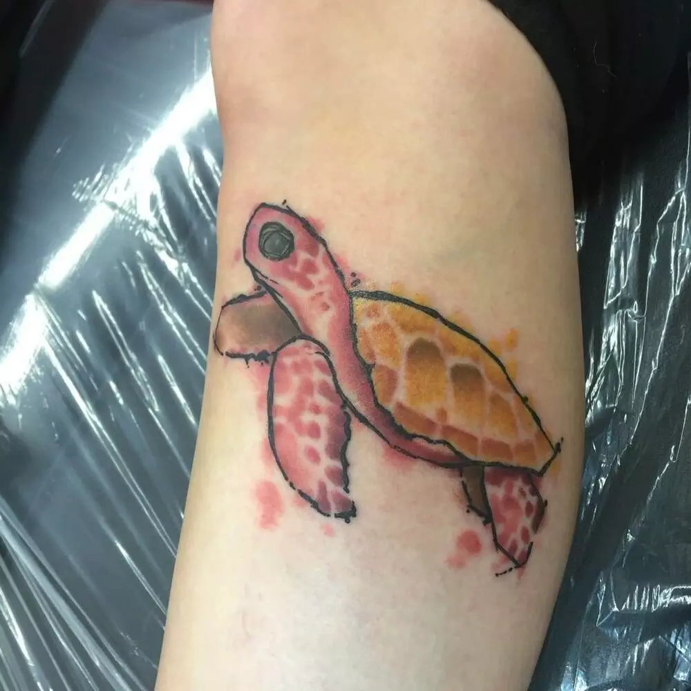 Turtle tattoo, leg.