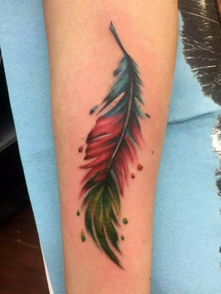 Feather tattoo, forearm.