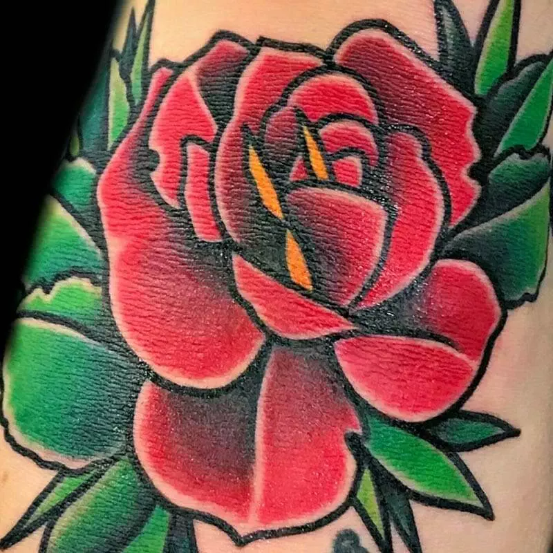 Red rose tattoo, forearm.